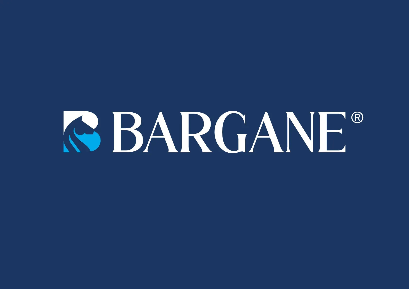 Bargane Holdings